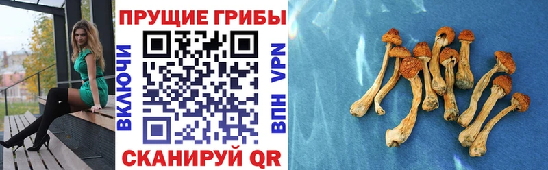 KRAKEN как зайти  Вуктыл  Галлюциногенные грибы мухоморы 
